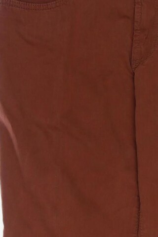 ATELIER GARDEUR Pants in 33 in Brown