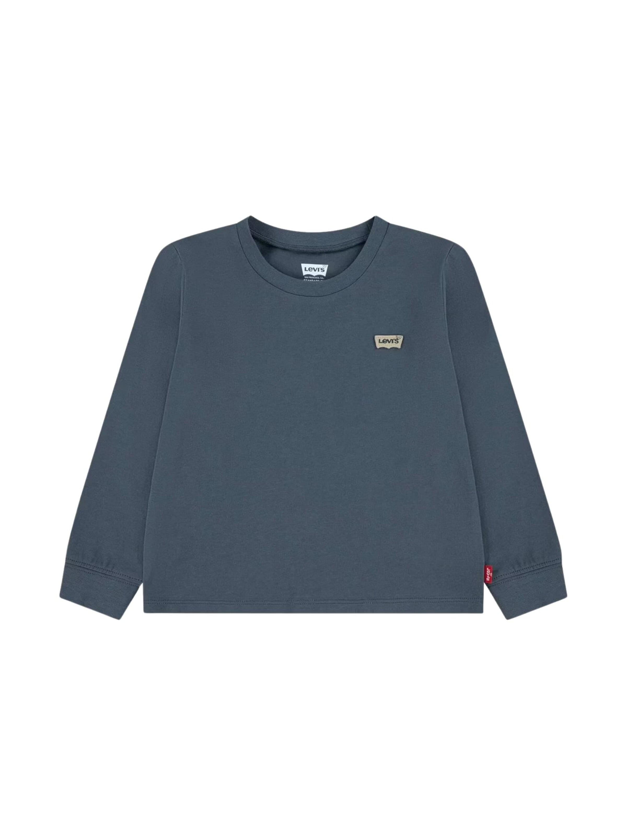 Levi's Kids Koszulka w kolorze niebieski: przód