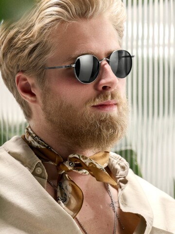 Arkai Sunglasses 'Occasus' in Grey