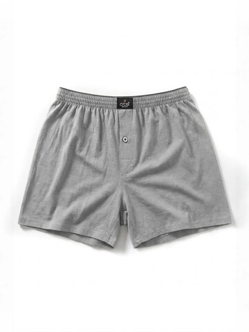Boxers 'ÖTS Herren-Boxershorts' ÖTS en gris : devant