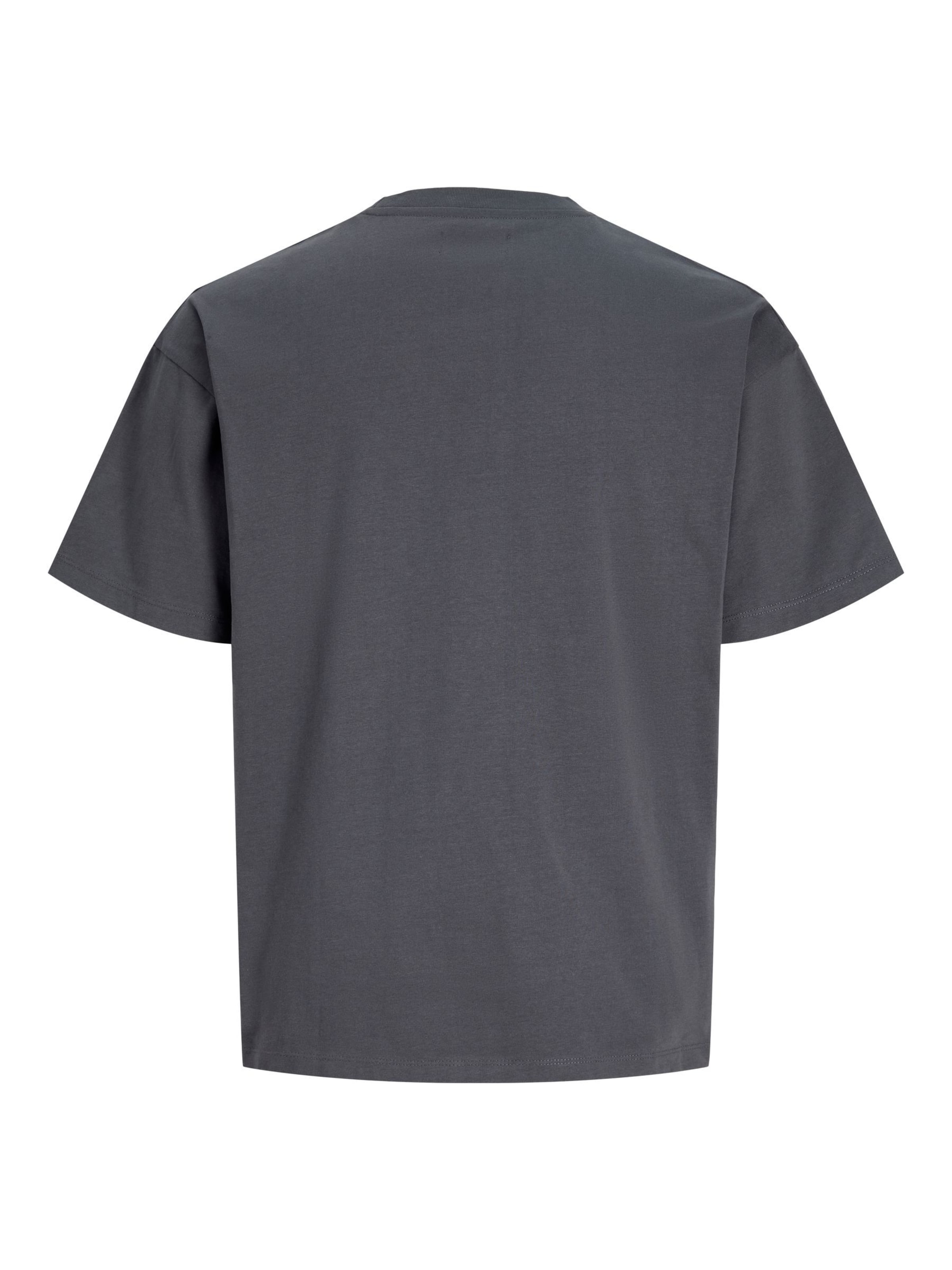 aprel Shirt in Grey