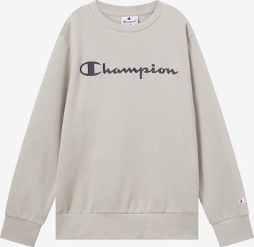 pilka Champion Authentic Athletic Apparel Megztinis be užsegimo: priekis
