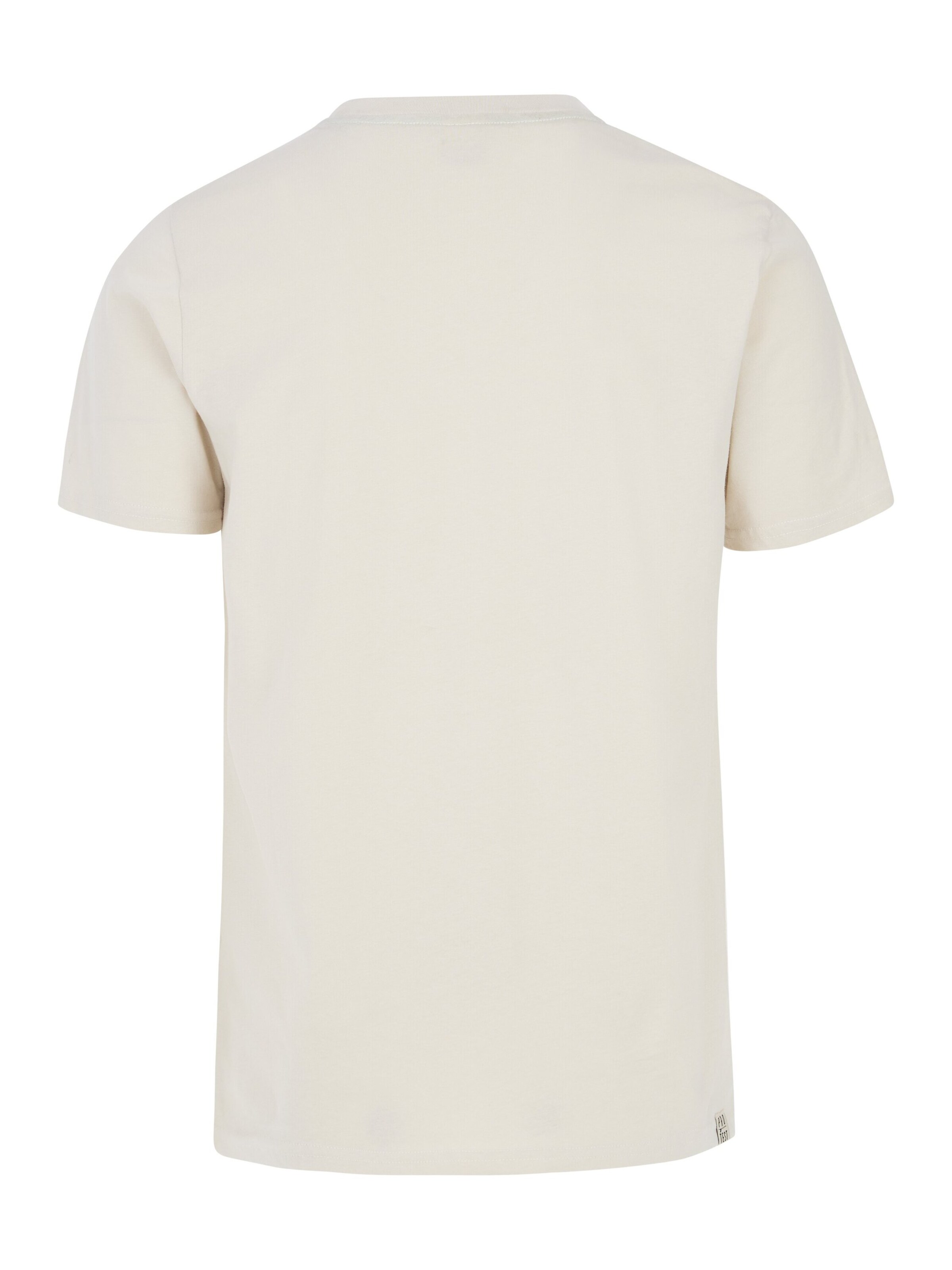 PROTEST Shirt 'PRTRodas' in White