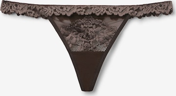 INTIMISSIMI Thong 'Pretty Flowers' in Brown: front