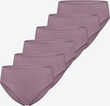 SCHIESSER Panty 'Essentials Cotton' in Purple: front