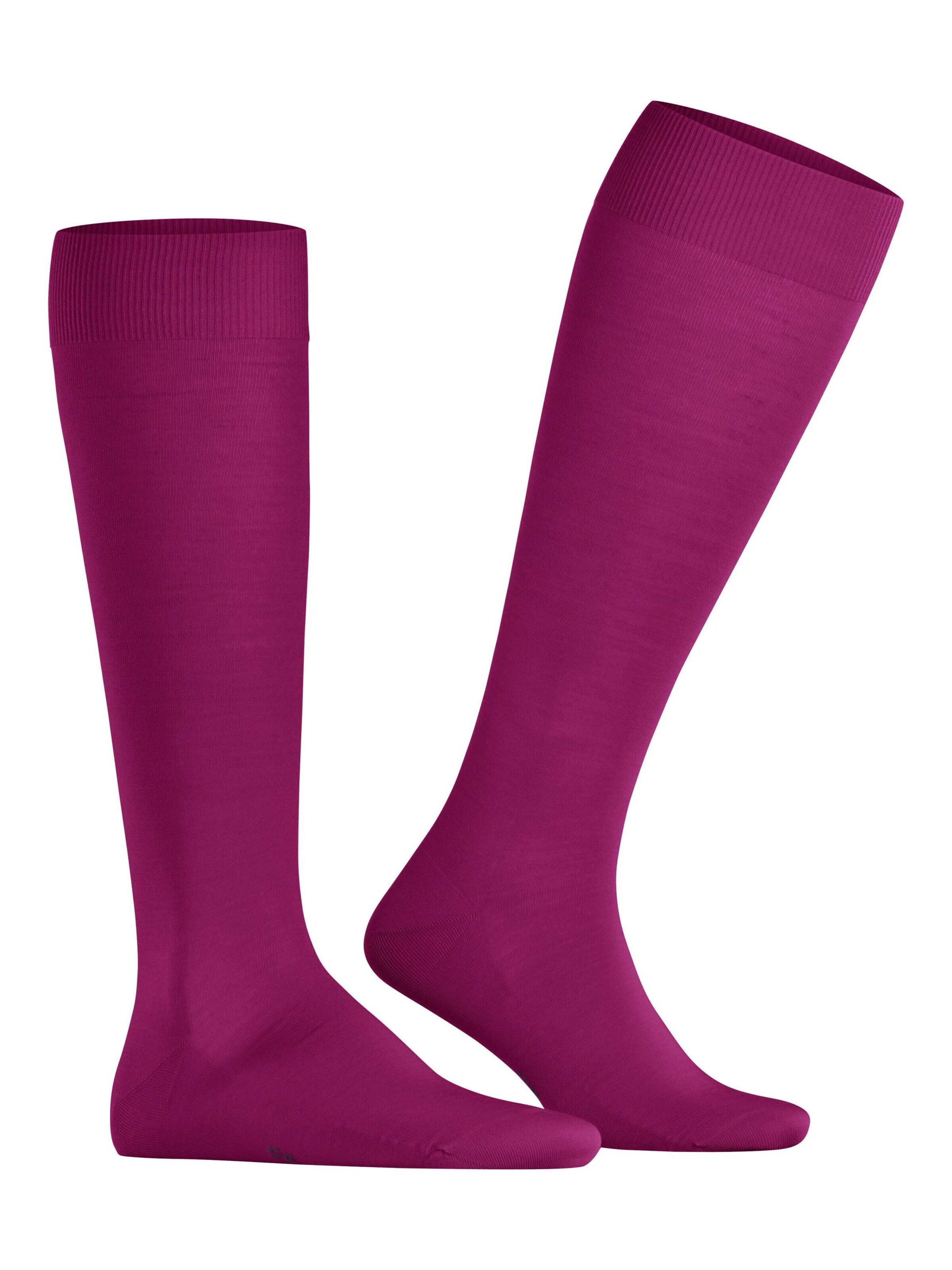 FALKE Kniestrümpfe 'ClimaWool'‌‌‌‌‌ in Lila