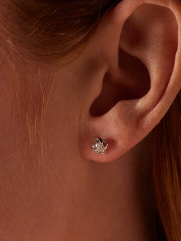 Lucardi Oorbellen in Zilver: voorkant