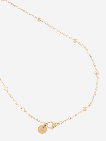 TOMMY HILFIGER Kette in Gold