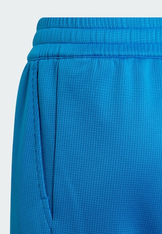 regular Pantaloni sportivi 'Classics' di ADIDAS PERFORMANCE in blu