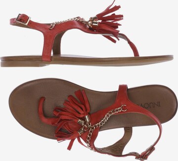 INUOVO Sandals & High-Heeled Sandals in 41 in Red: front