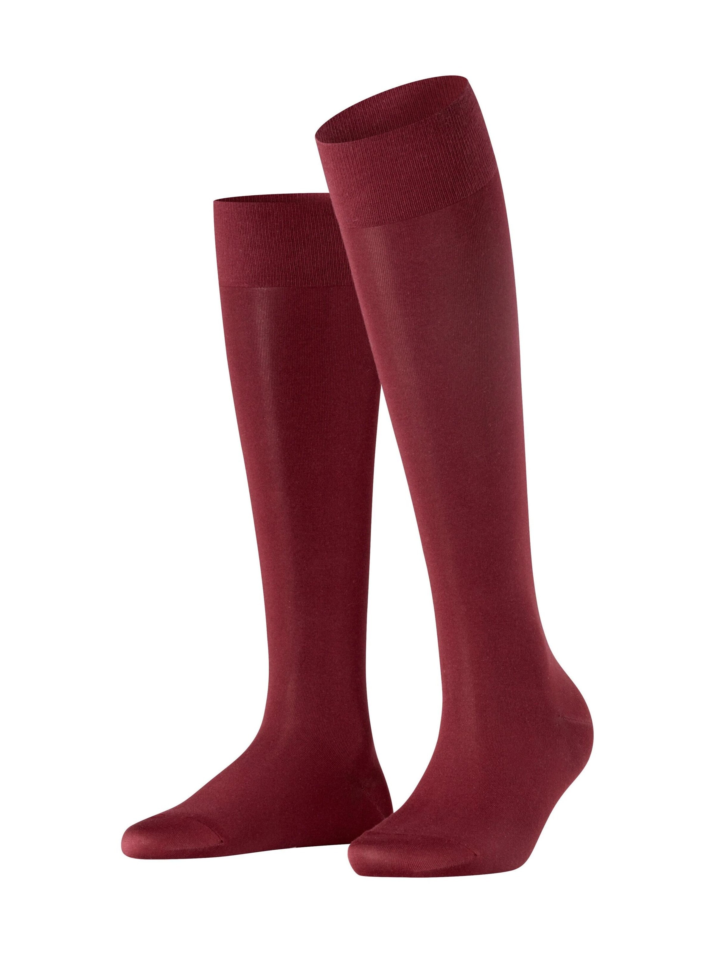 FALKE Kniestrümpfe 'Cotton Touch'‌‌‌‌ in Rot: Vorderseite