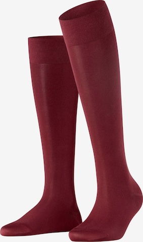 FALKE Kniestrümpfe 'Cotton Touch' in Rot: Vorderseite