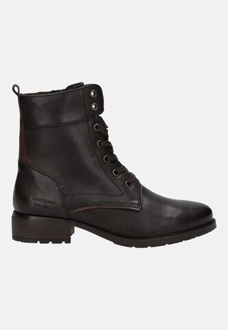 JOSEF SEIBEL Stiefelette Kate 07 in Braun