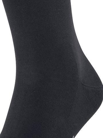FALKE Socken 'Cool 24/7'‌ in Blau