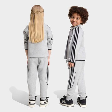 Survêtement 'TS' ADIDAS ORIGINALS en gris