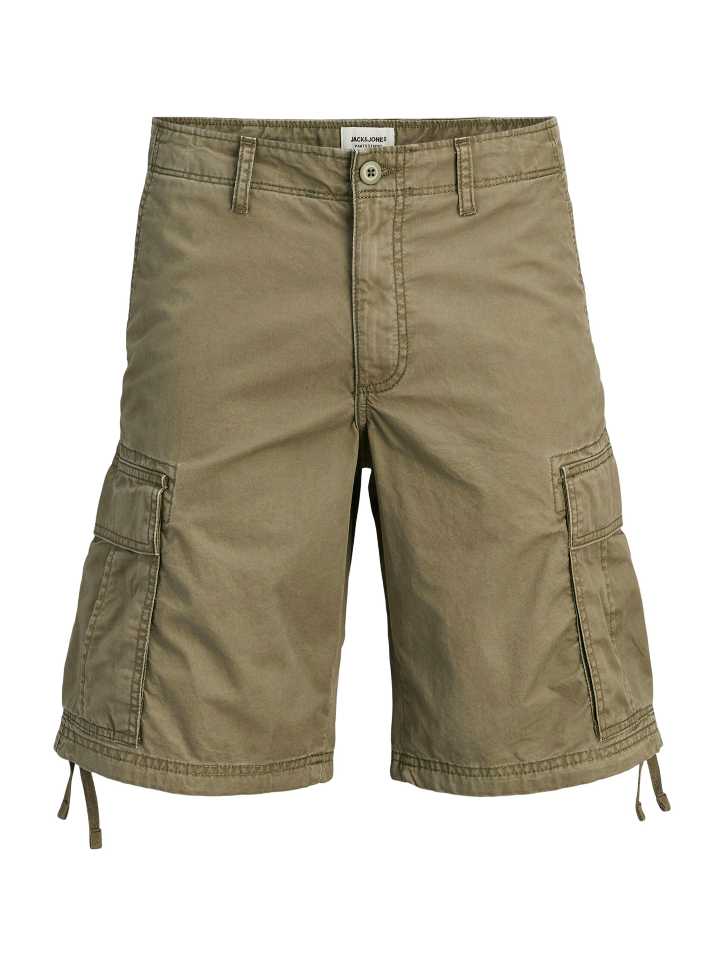 Pantalon cargo 'JPSTCole Frank' Jack & Jones Plus en vert : devant