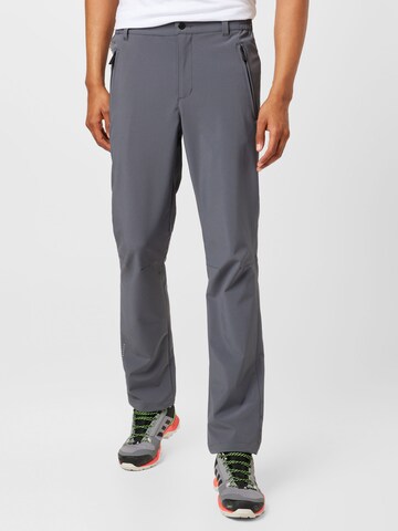 Regular Pantalon outdoor ICEPEAK en gris : devant