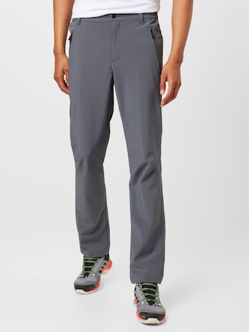 Regular Pantalon outdoor ICEPEAK en gris : devant