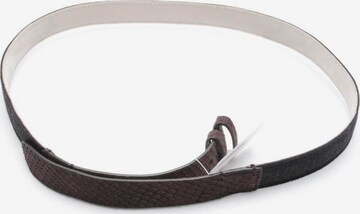 Brunello Cucinelli Belt in XL in Brown: front