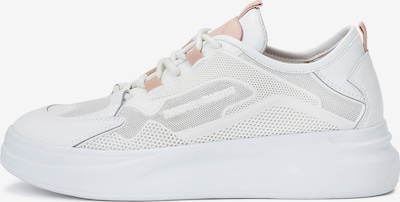 Kazar Studio Sneakers low i rosa / hvit, Produktvisning
