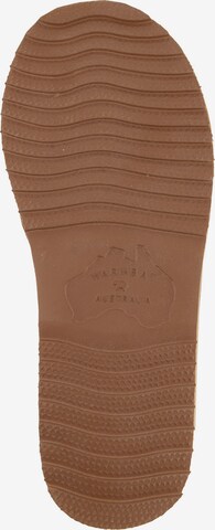 Warmbat Slippers 'Classic' in Brown