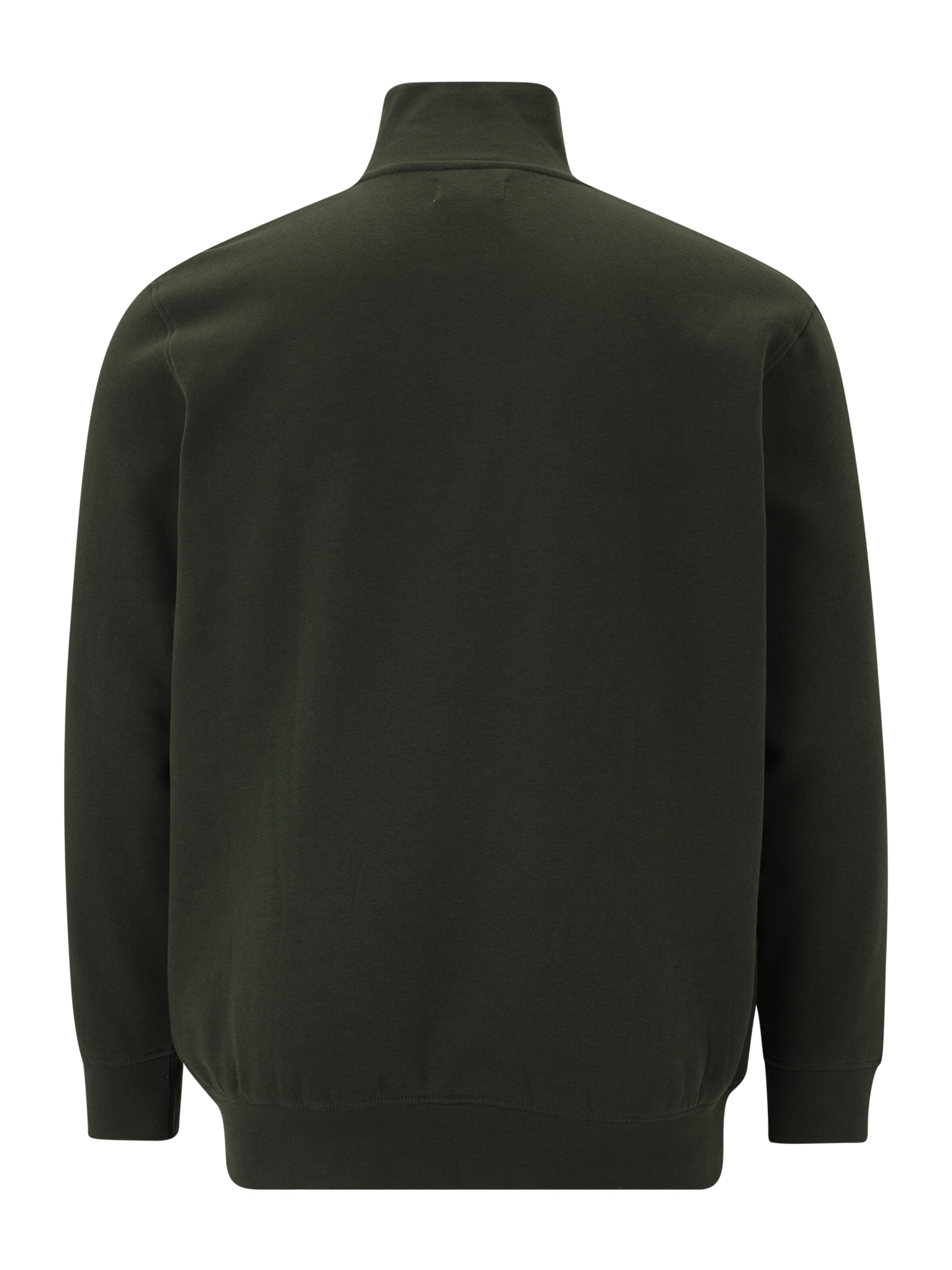 Bluză de molton 'JJESOHO' de la Jack & Jones Plus pe verde