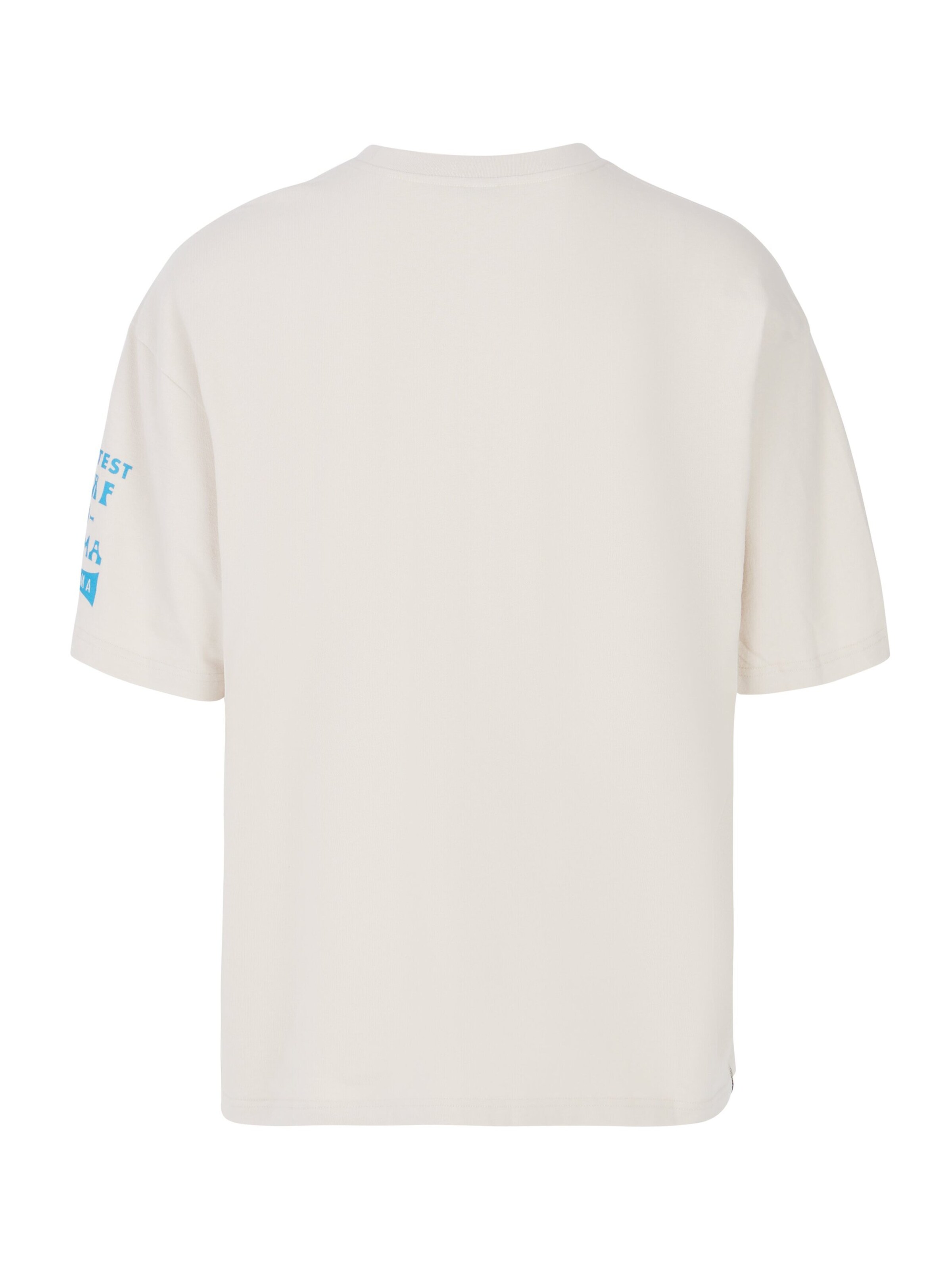 PROTEST Shirt 'PRTAval' in White