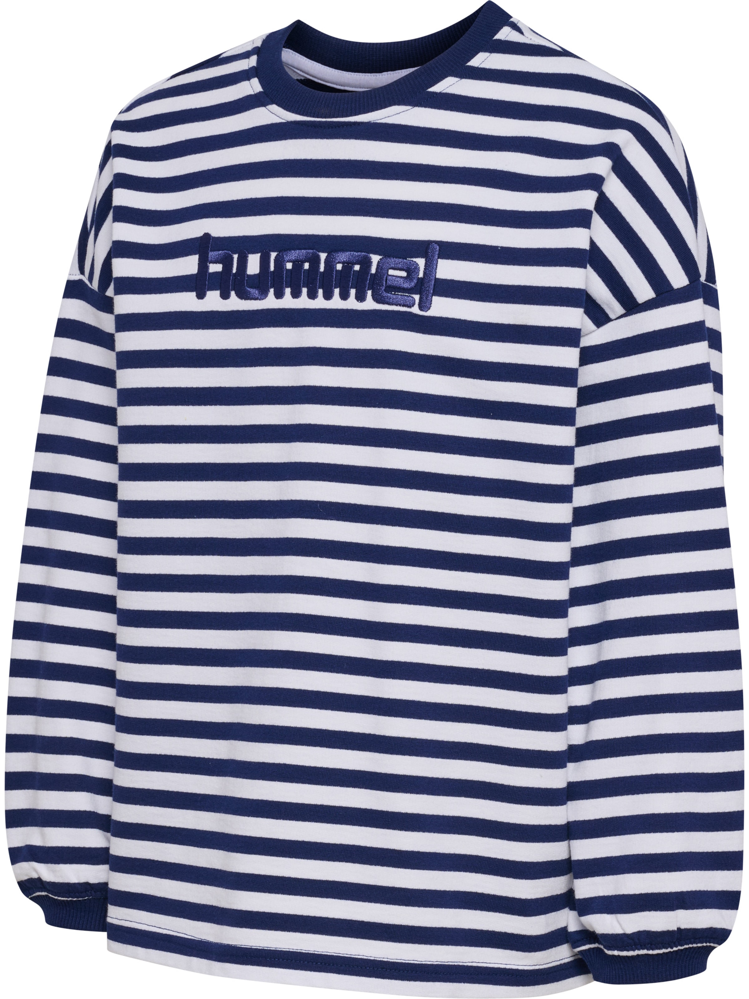 Hummel Sweatshirt in Blau