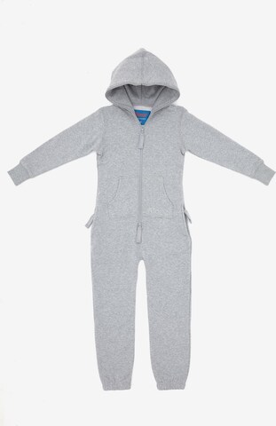 Moniz Dungarees in Grey: front