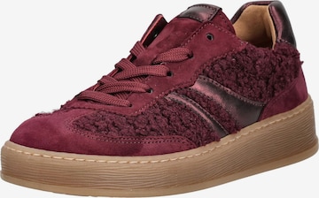 Sneaker bassa di GABOR in rosso: frontale