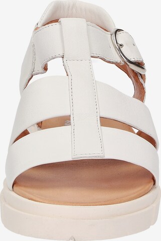SIOUX Strap Sandals 'Ronila' in White