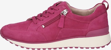 Chaussure de sport à lacets CAPRICE en rose