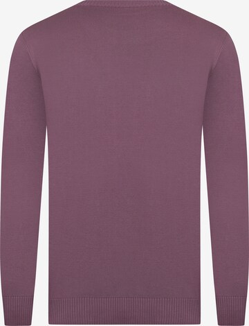 DENIM CULTURE - Pullover 'Neroli' em roxo