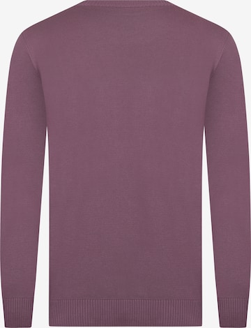 DENIM CULTURE Sweater 'Neroli' in Purple