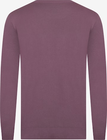 Pull-over 'Neroli' DENIM CULTURE en violet