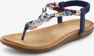 Flip-flops de la LASCANA pe albastru: față