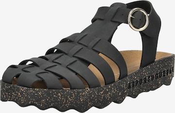Asportuguesas Sandalen in Schwarz: Vorderseite