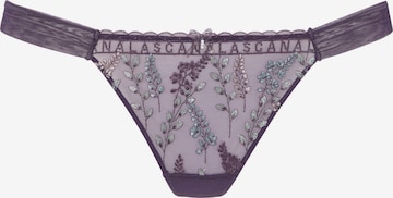 String LASCANA en violet : devant