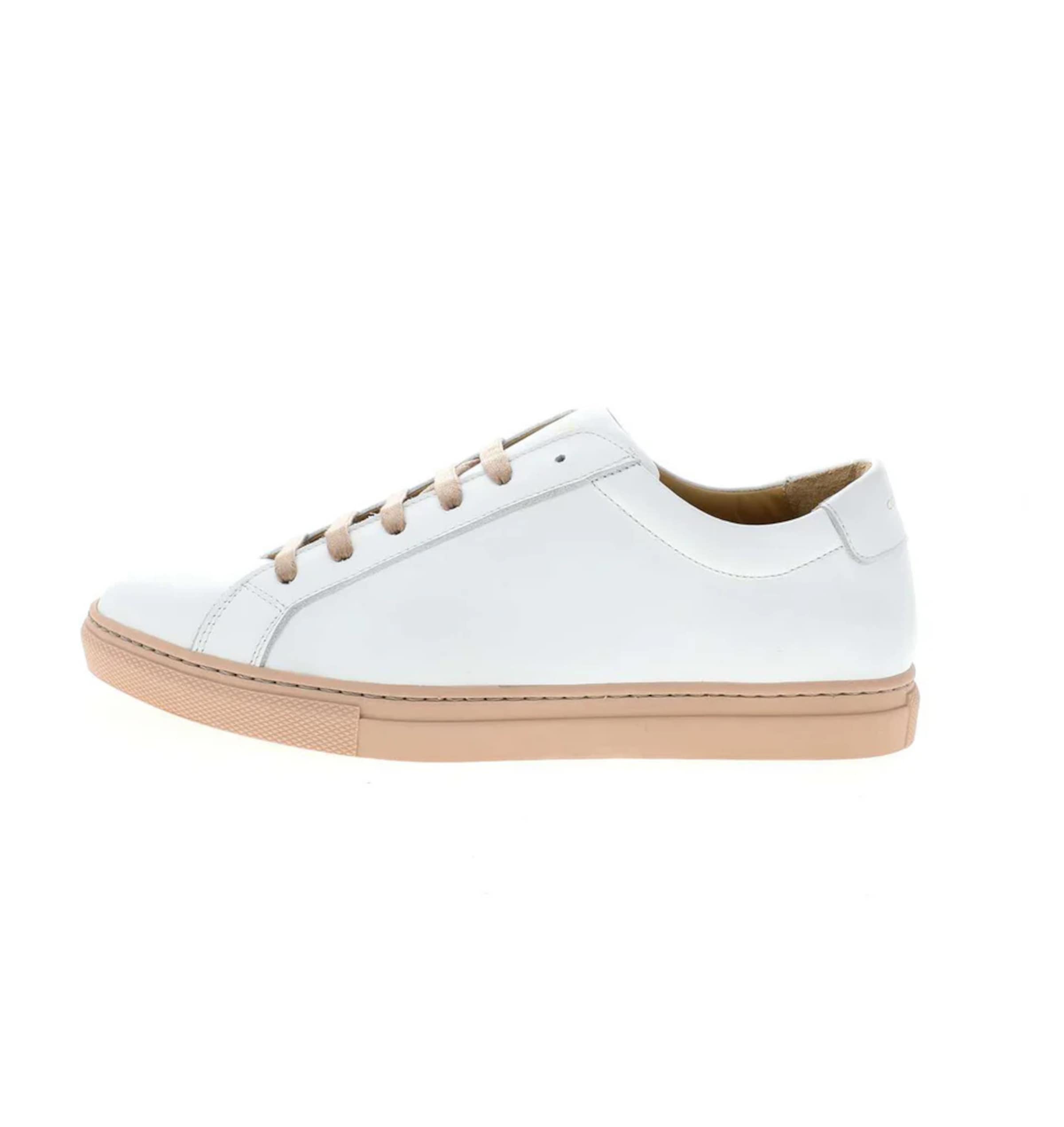 Camino71 Sneakers in White: front