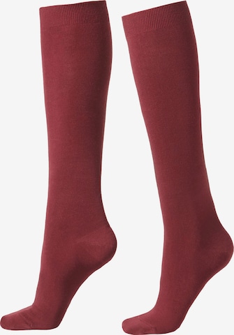 CALZEDONIA Socks in Red: front