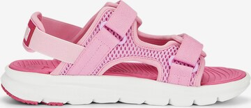 PUMA Open schoenen 'Evolve' in Roze
