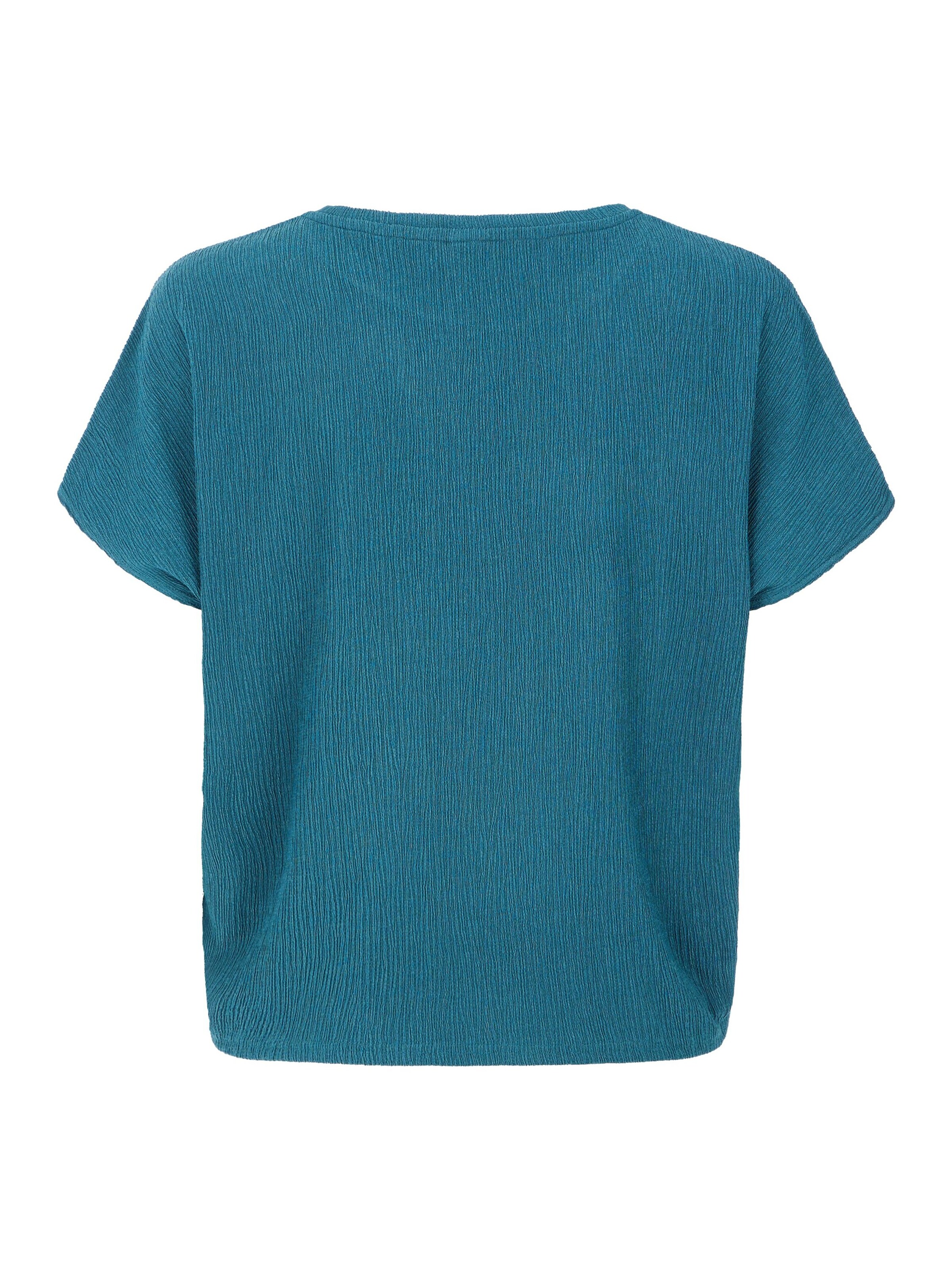 PROTEST Shirt 'PRTLouas' in Blue