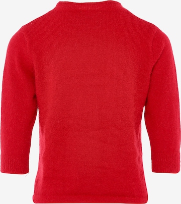 Poomi Pullover in Rot