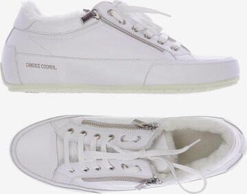 Candice Cooper Sneakers & Trainers in 42 in White: front