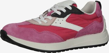 a.soyi Sneakers in Pink: front