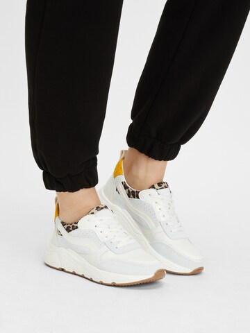 PS Poelman Sneakers '5614' in White: front