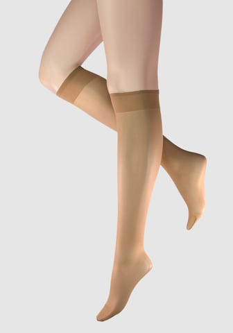 Esda Knee High Socks in Beige