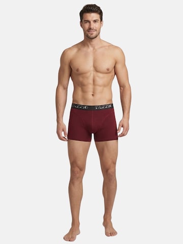 Tazzio Boksershorts 'BS1000' i blandingsfarvet