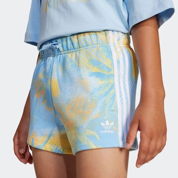 ADIDAS ORIGINALS Regular Pants in Blue