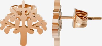 Akzent Earrings 'Marja' in Gold: front